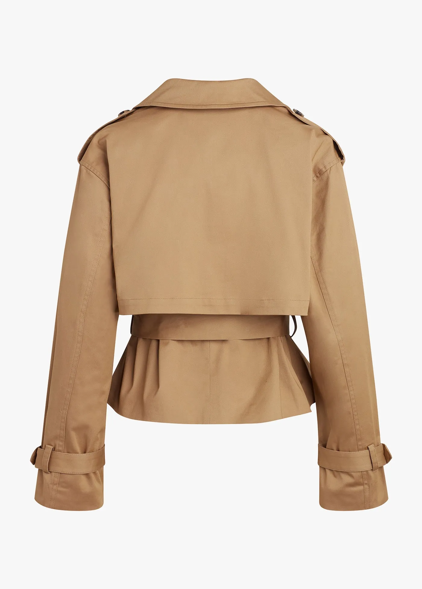 THE CROPPED CHARLES TRENCH